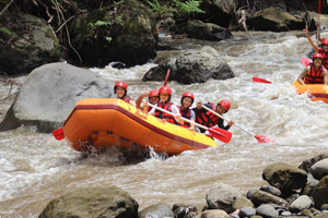 Ayung River View 2